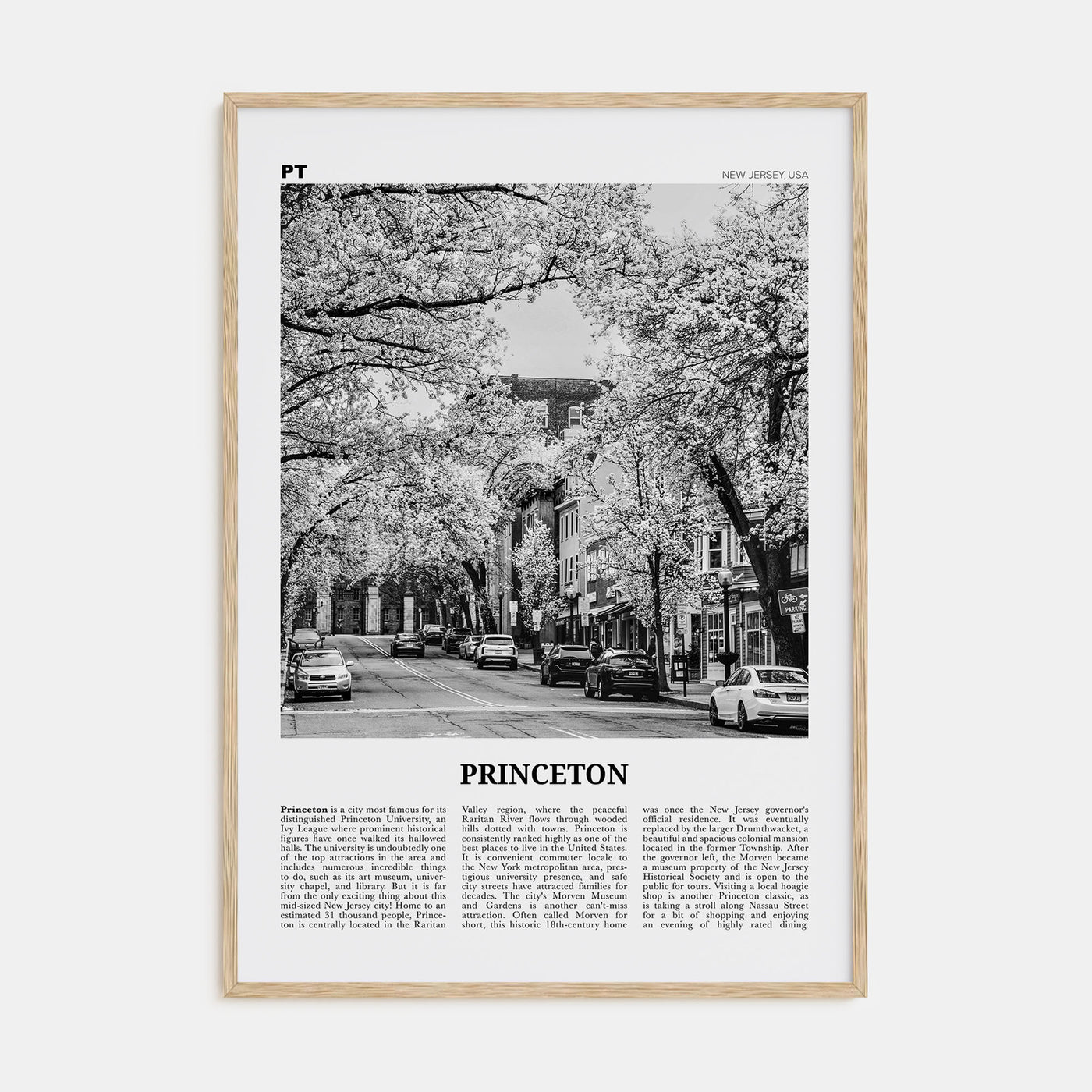 Princeton Travel B&W Poster