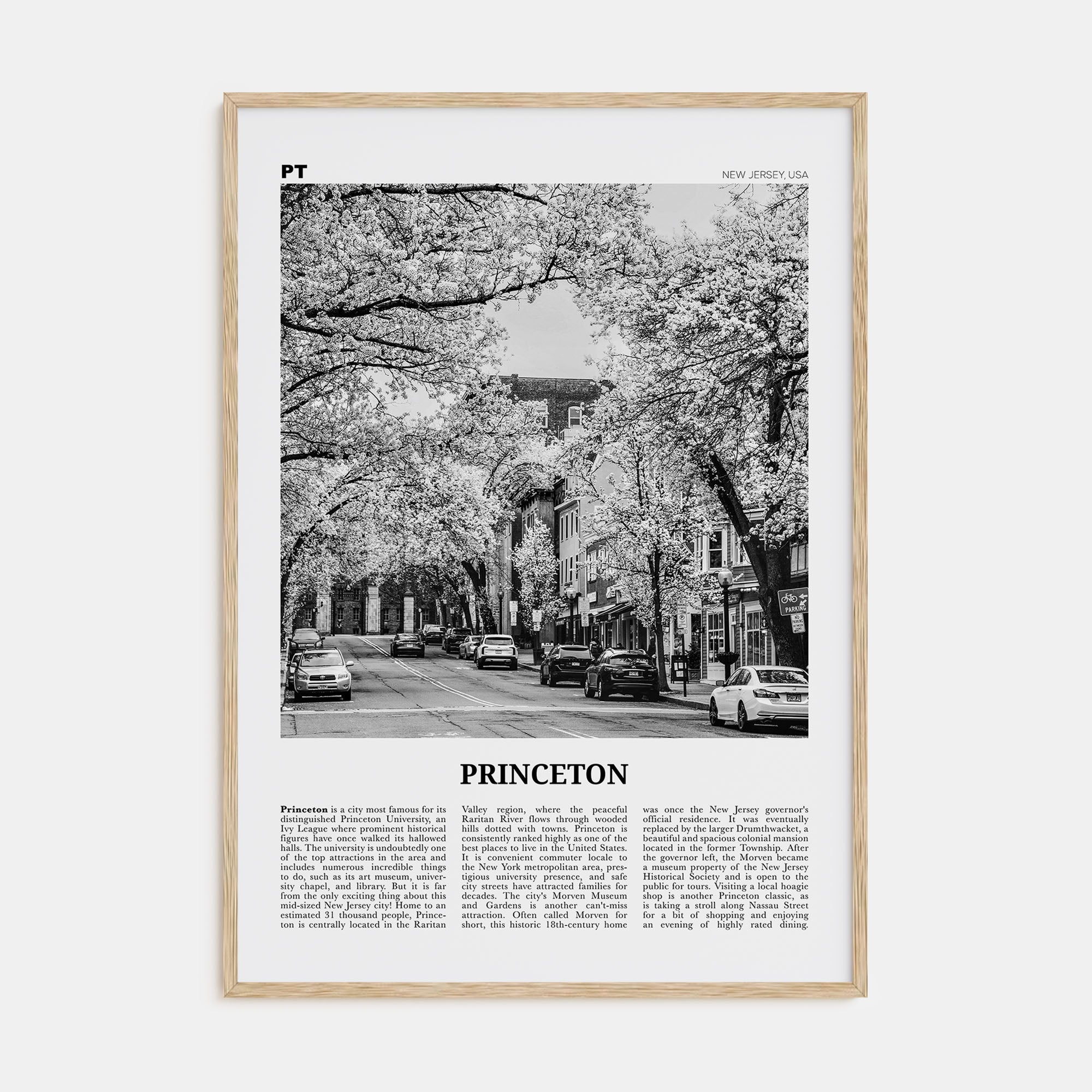 Princeton Travel B&W Poster