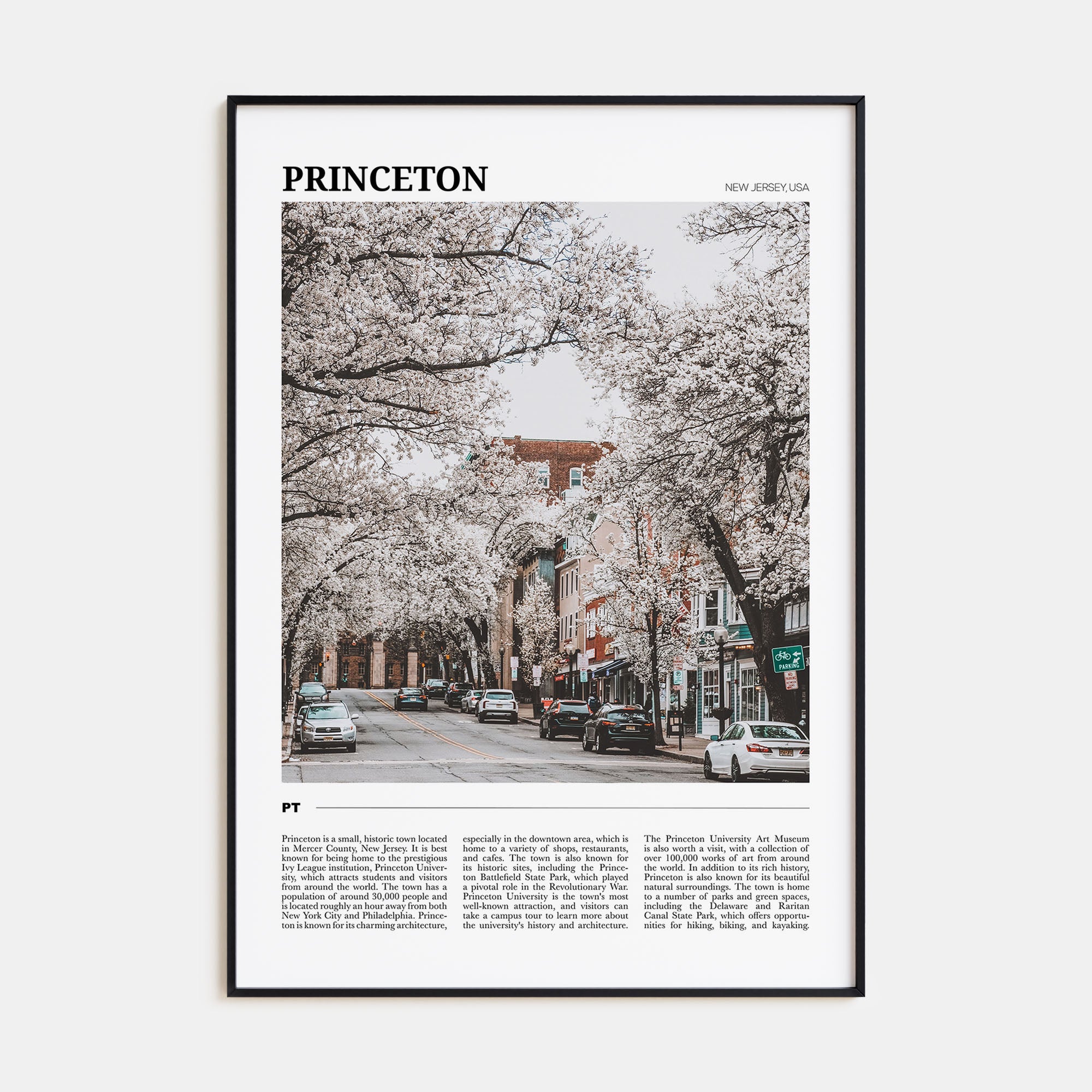 Princeton Travel Color Poster