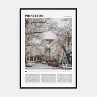 Princeton Travel Color Poster