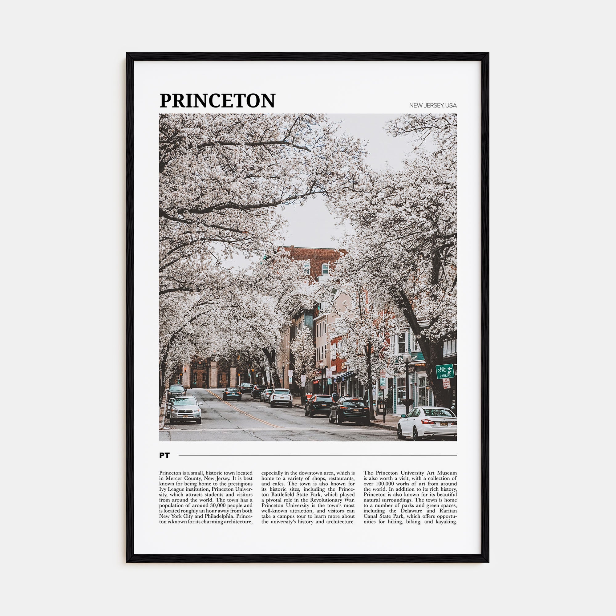 Princeton Travel Color Poster