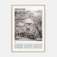 Princeton Travel Color Poster