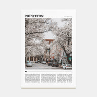 Princeton Travel Color Poster