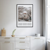 Princeton Travel Color Poster