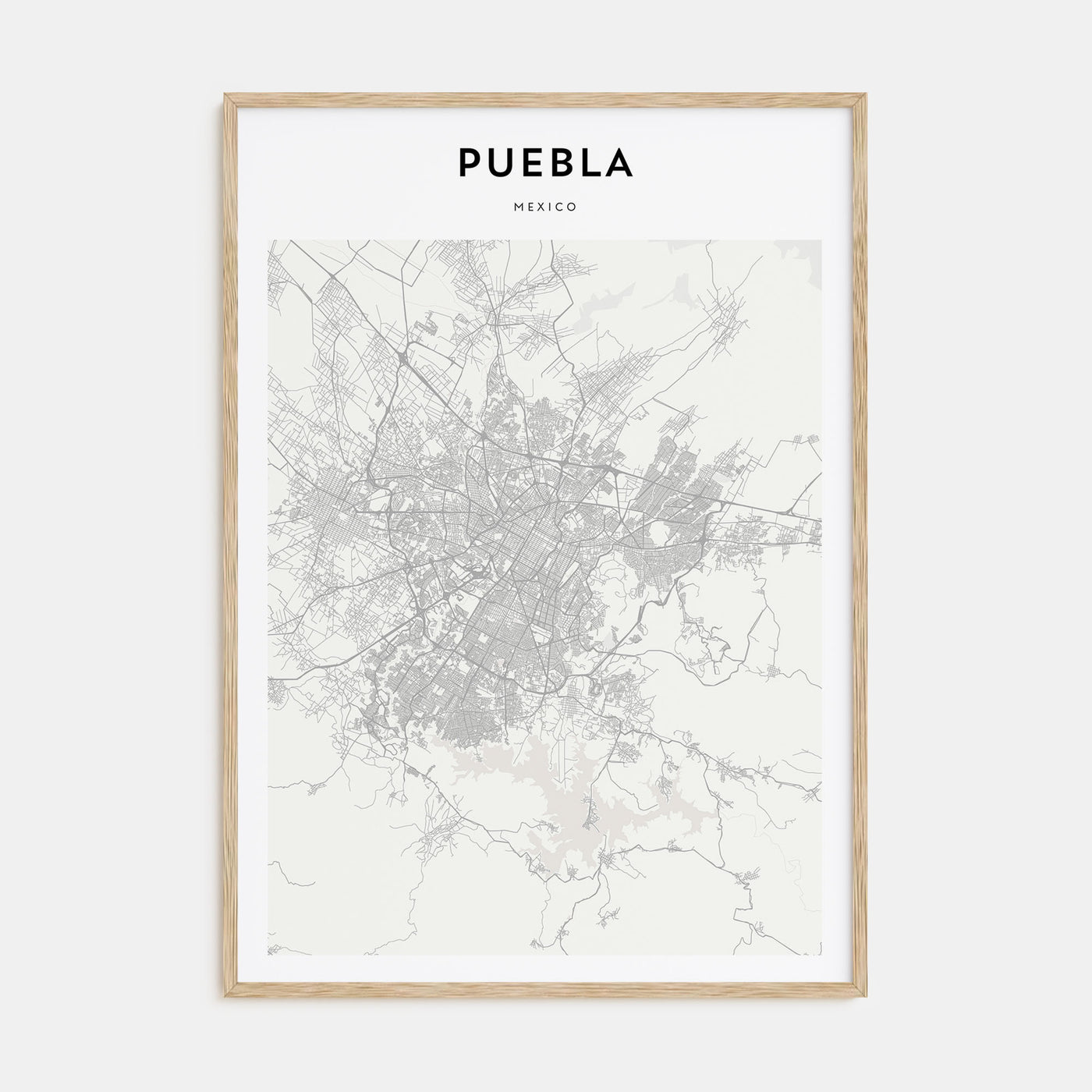 Puebla Map Portrait Poster