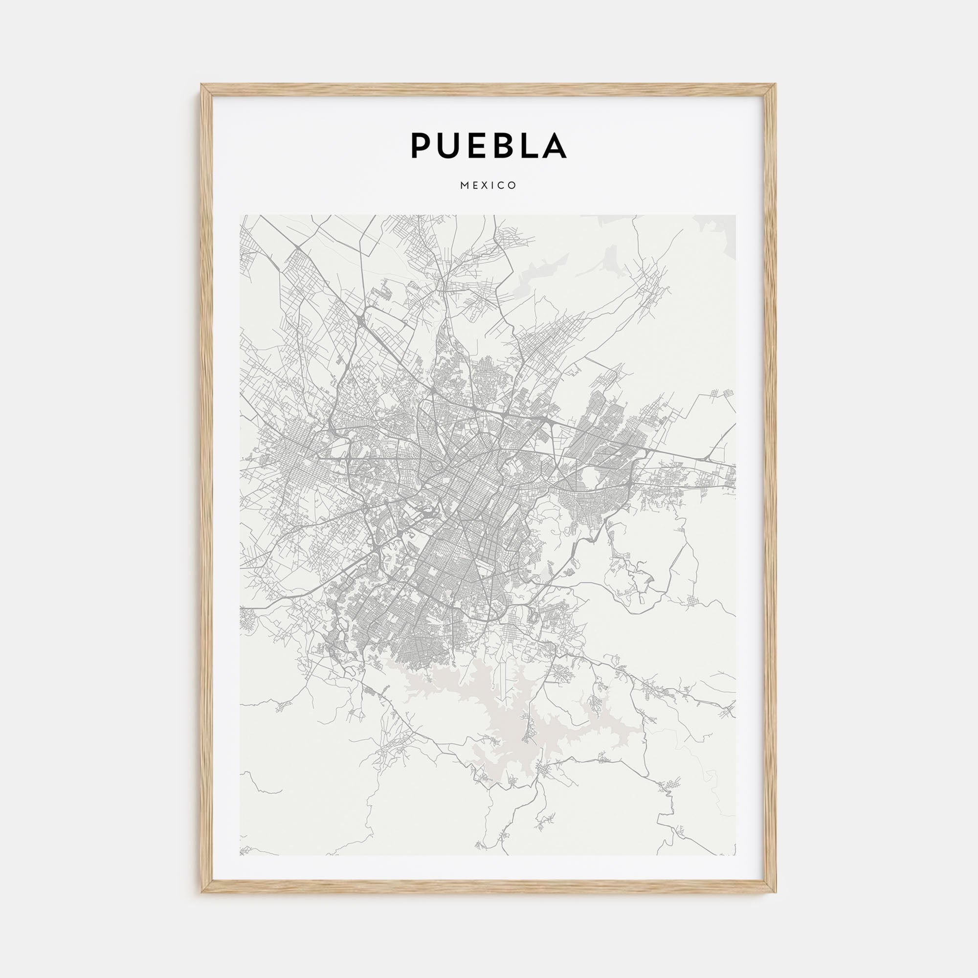 Puebla Map Portrait Poster