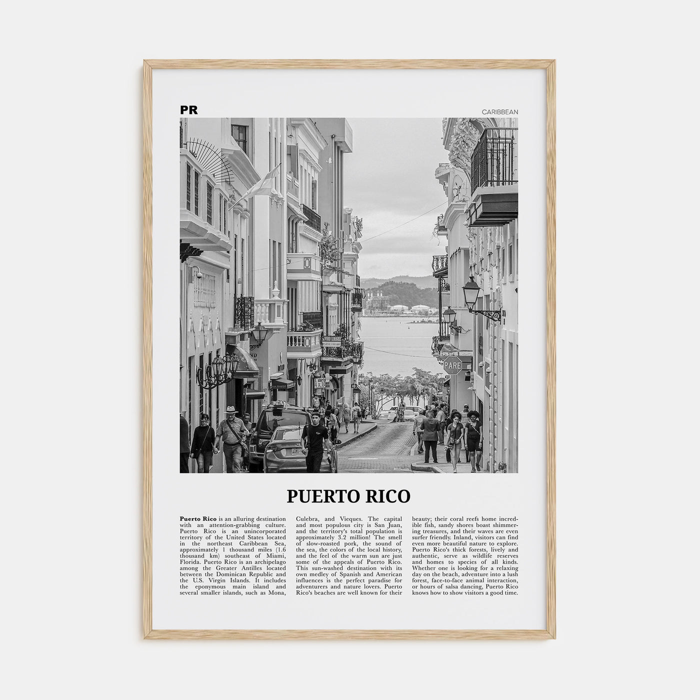 Puerto Rico Travel B&W No 2 Poster