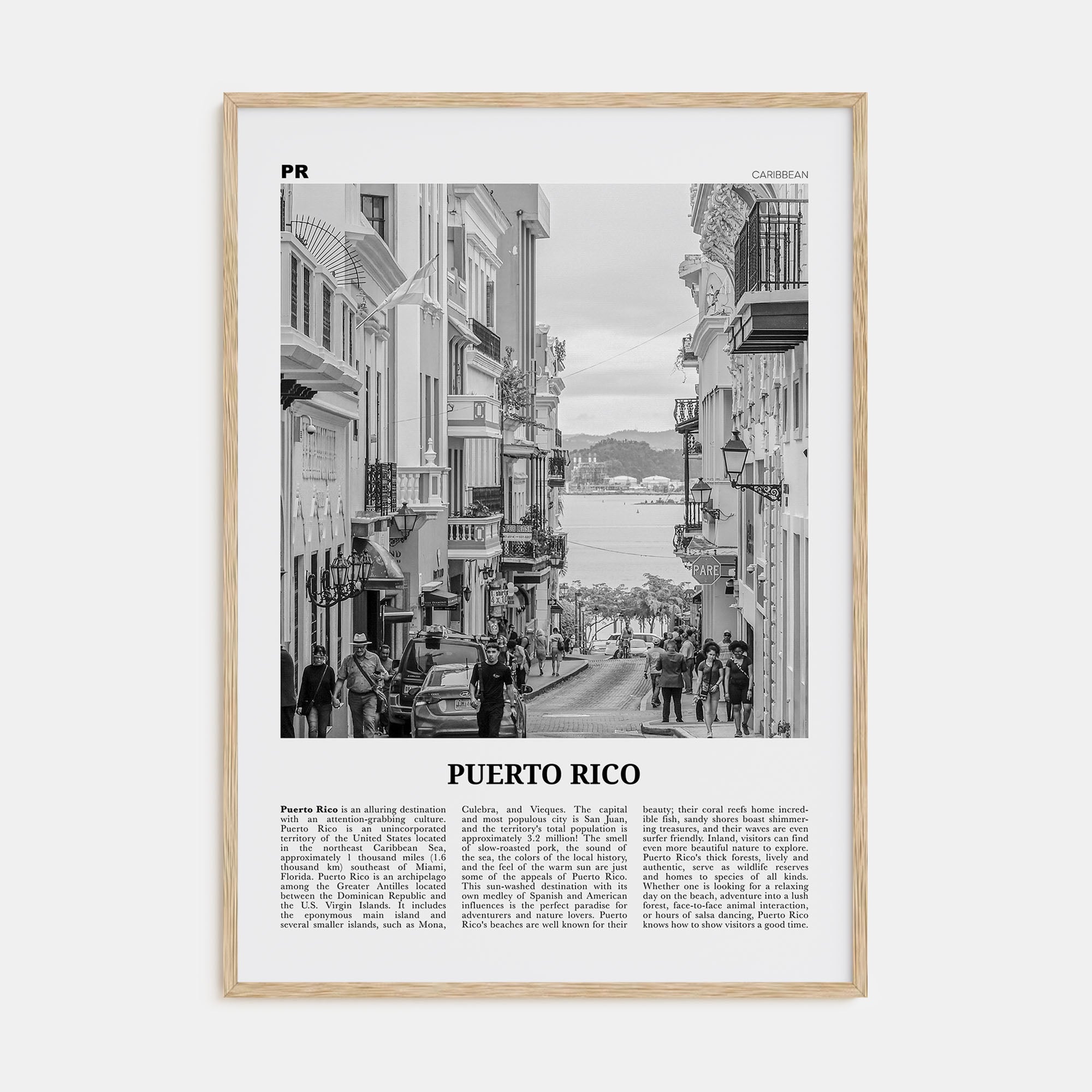 Puerto Rico Travel B&W No 2 Poster