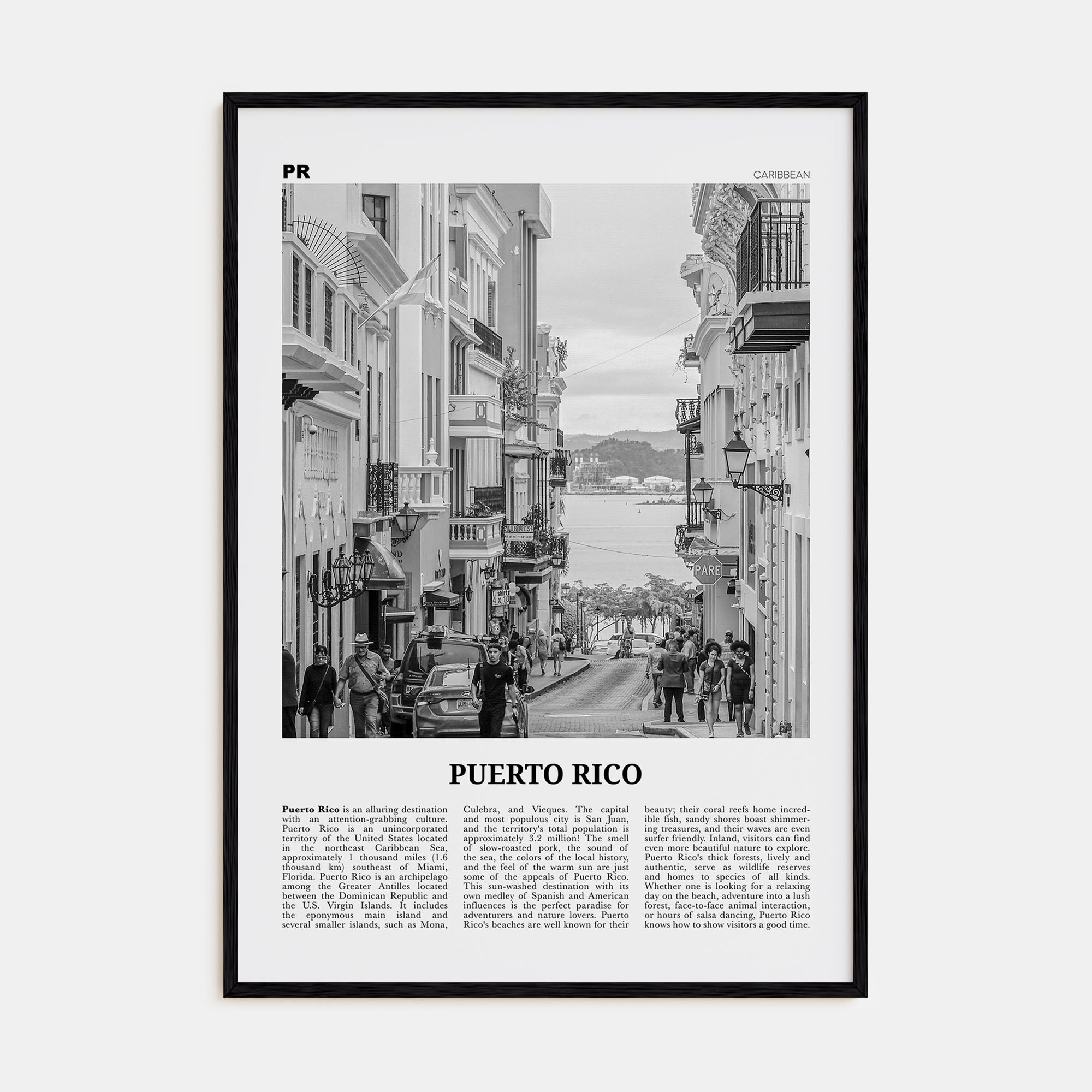 Puerto Rico Travel B&W No 2 Poster