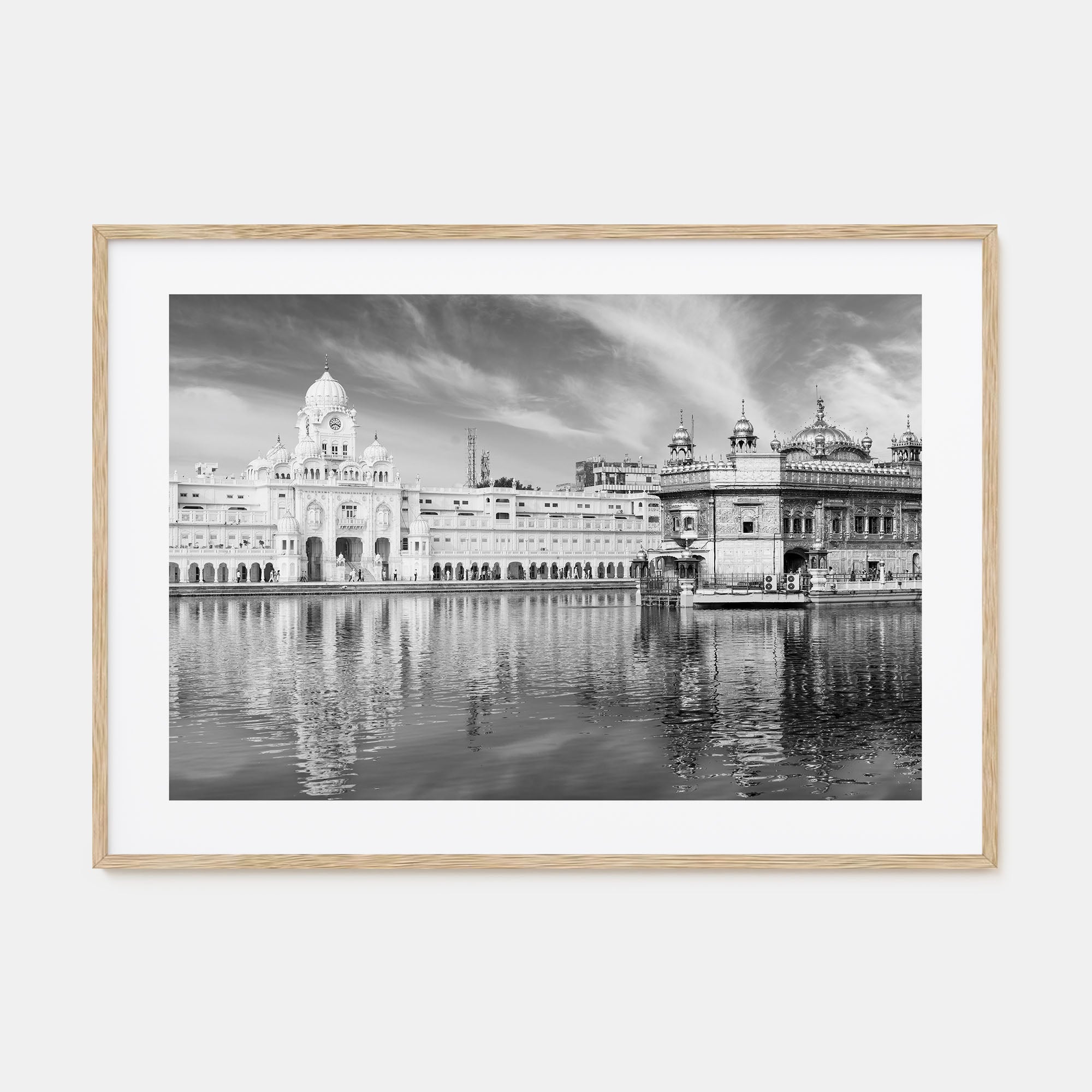Punjab Landscape B&W Poster