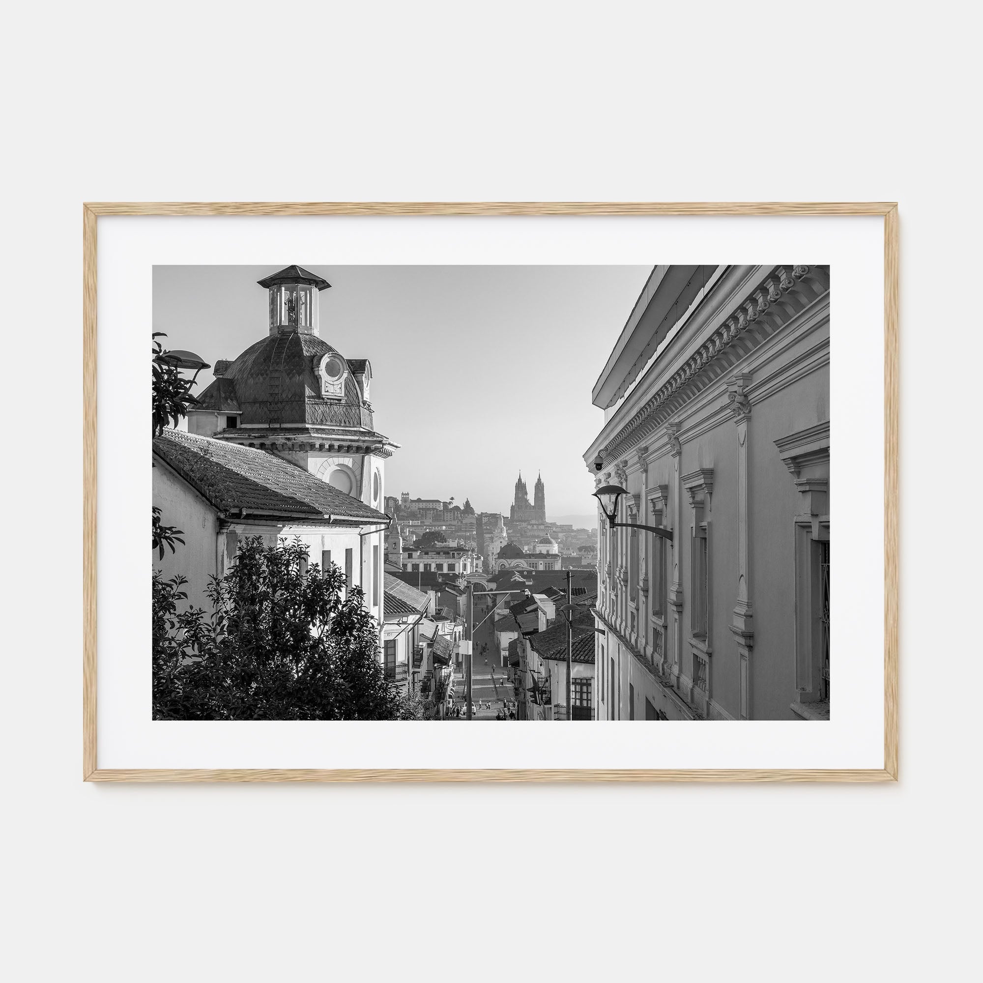 Quito Landscape B&W Poster