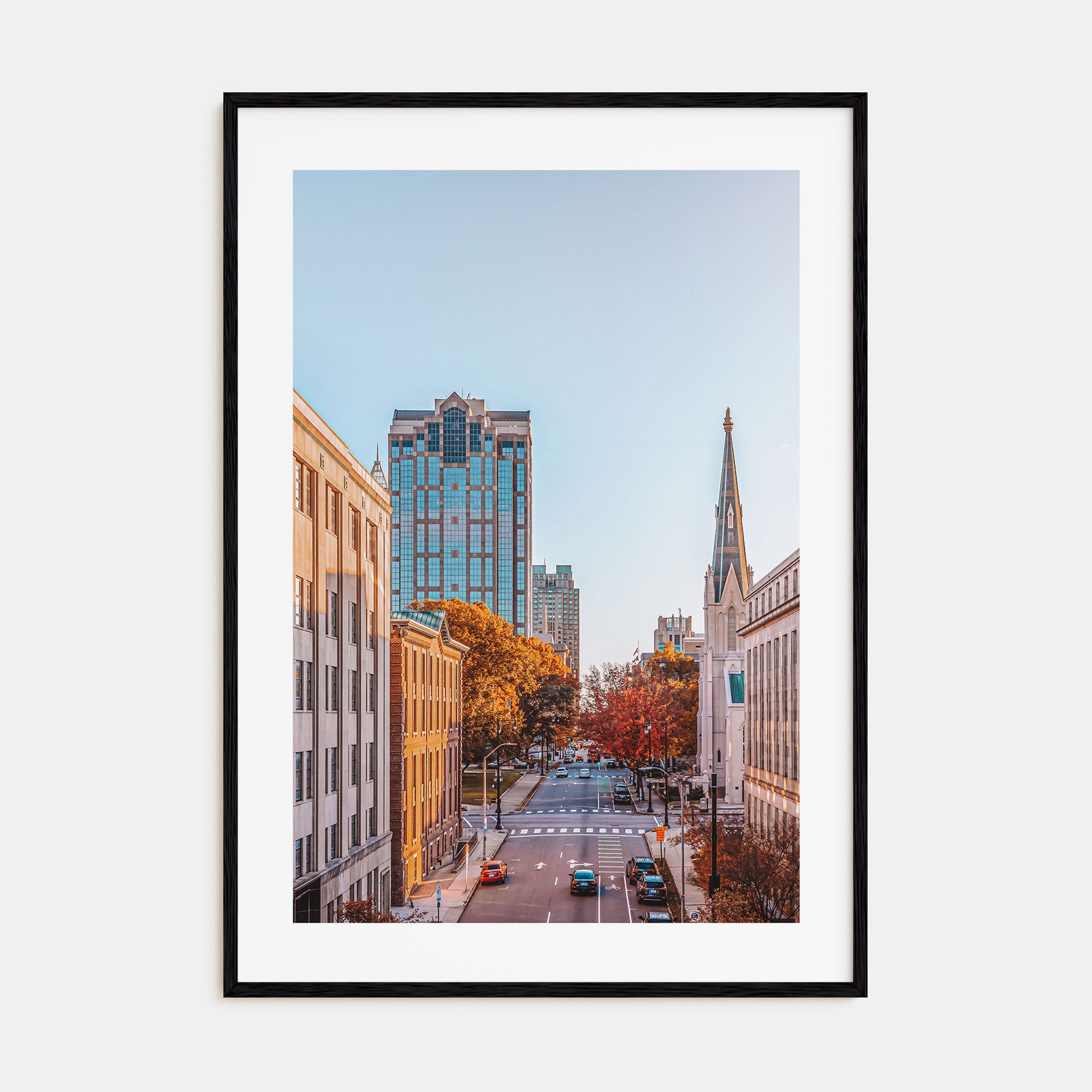 Raleigh Photo Color No 2 Poster