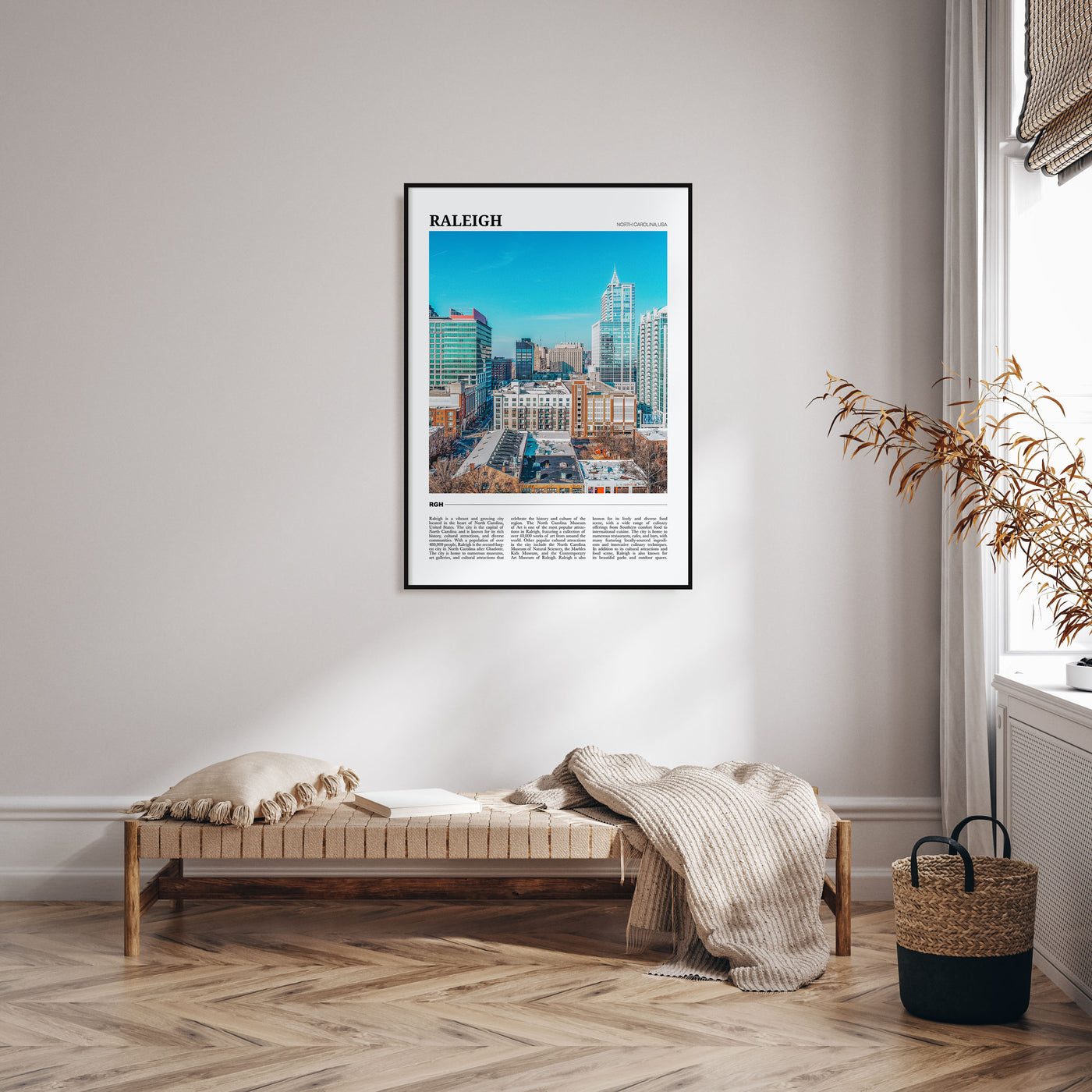 Raleigh Travel Color Poster