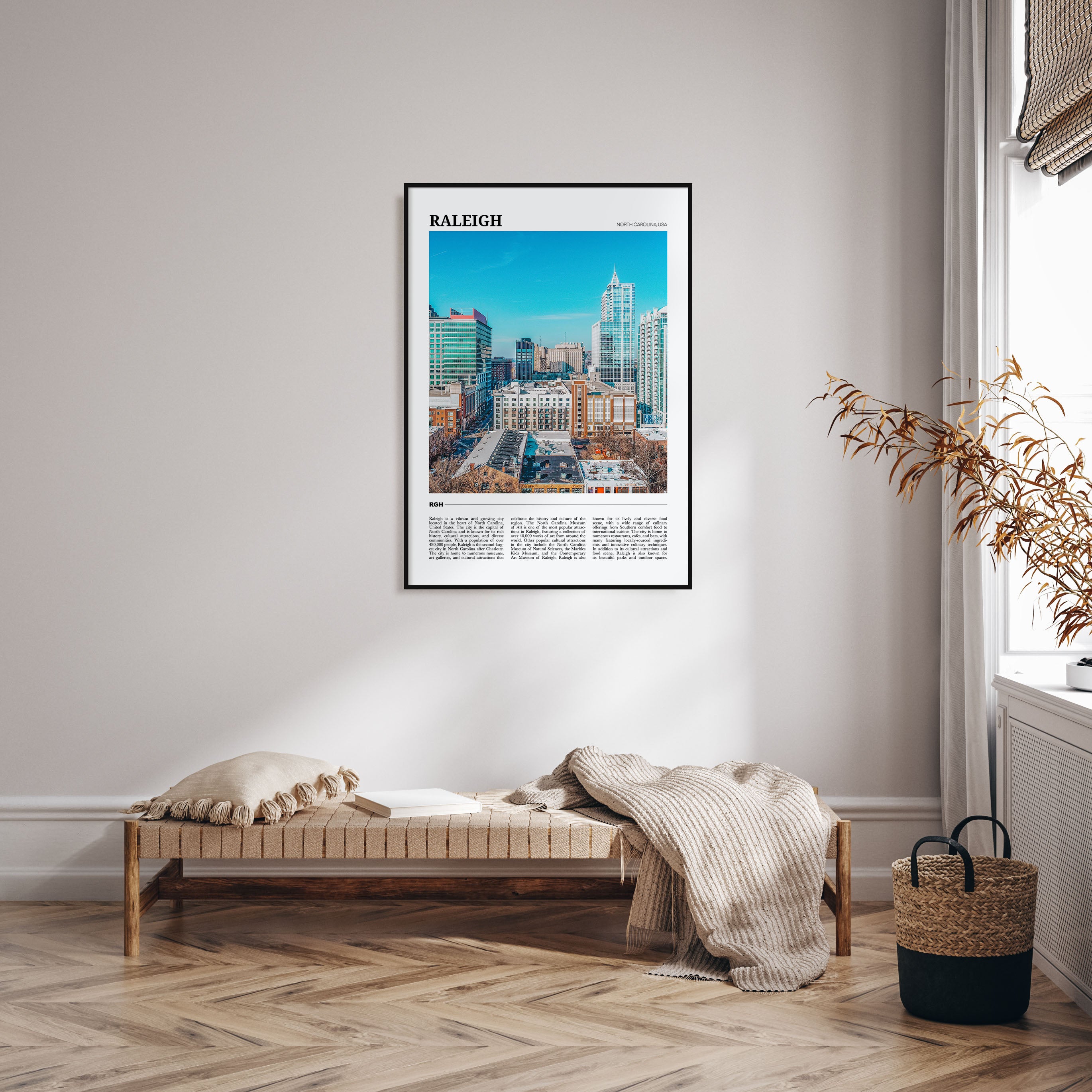 Raleigh Travel Color Poster