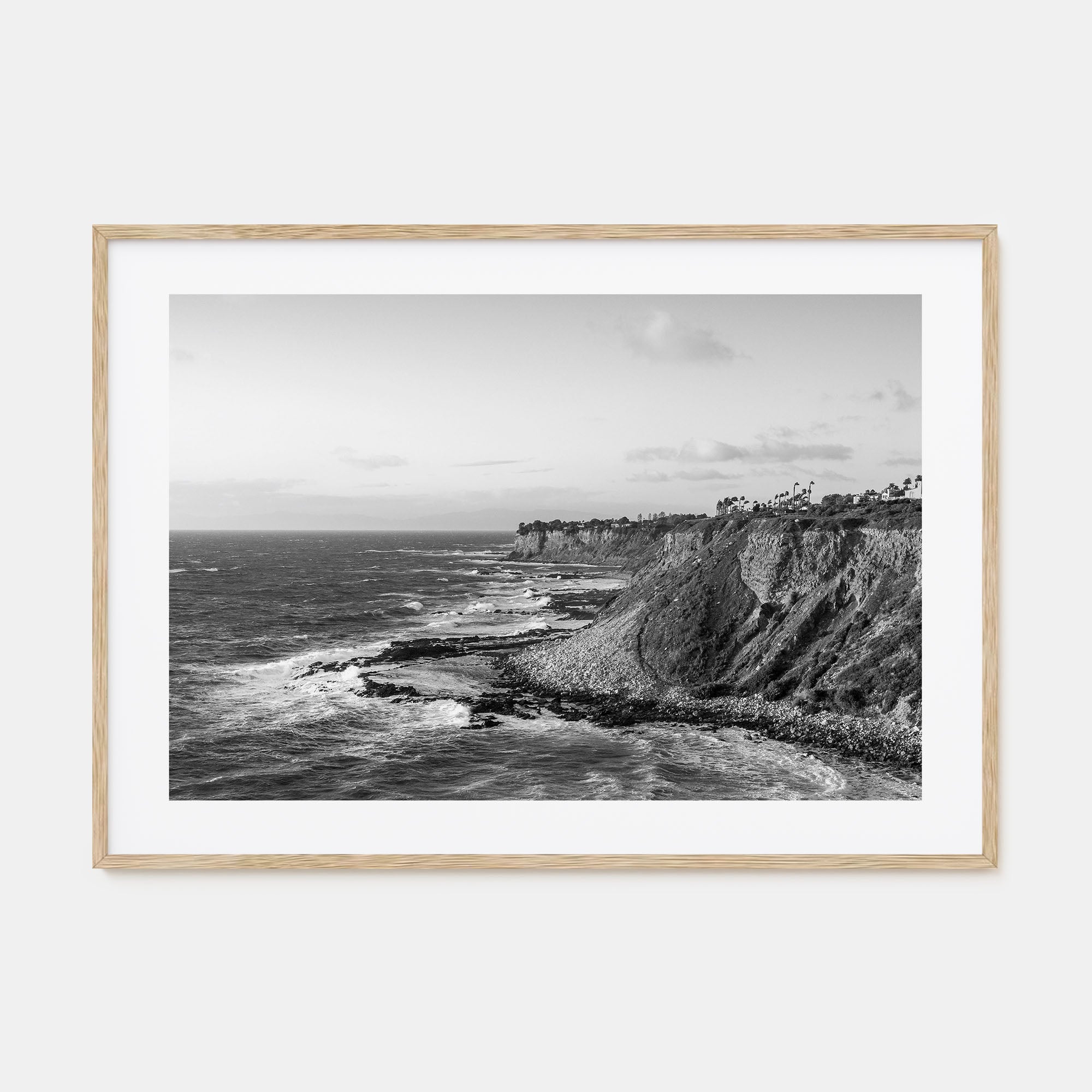 Rancho Palos Verdes Landscape B&W Poster