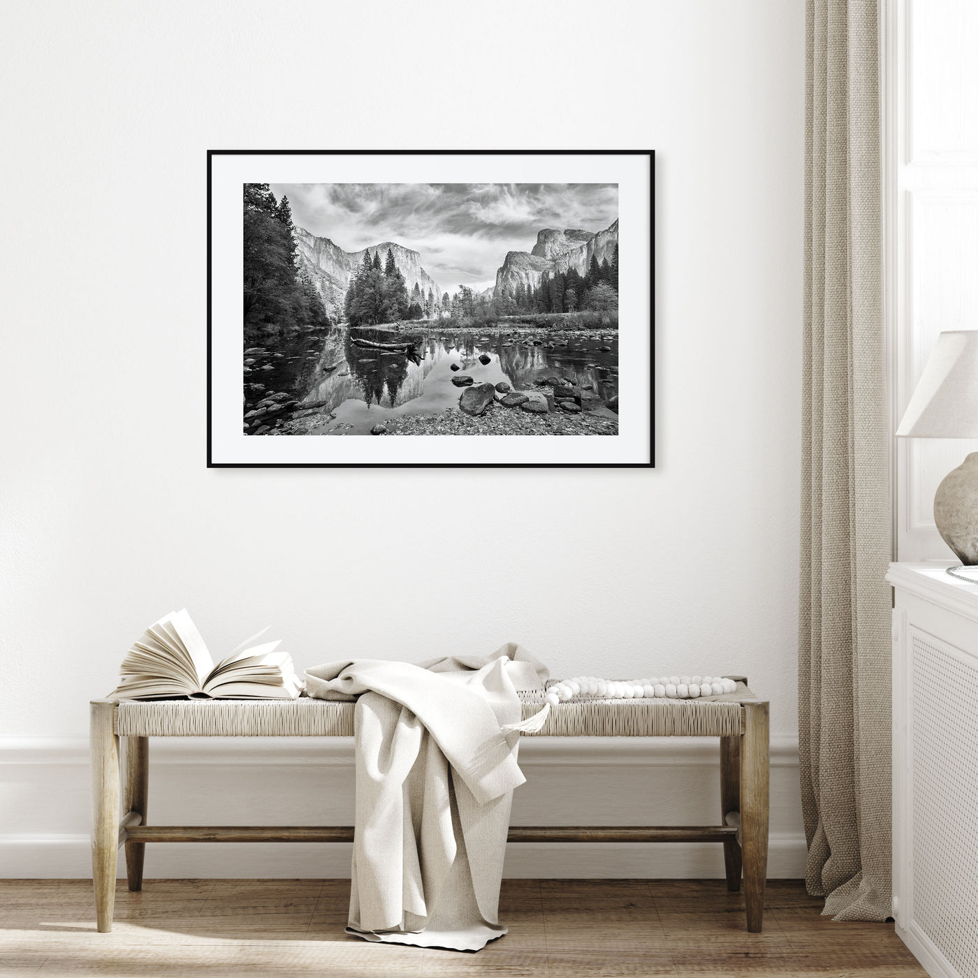 Redwood National Park Landscape B&W Poster