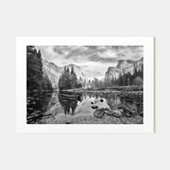 Redwood National Park Landscape B&W Poster
