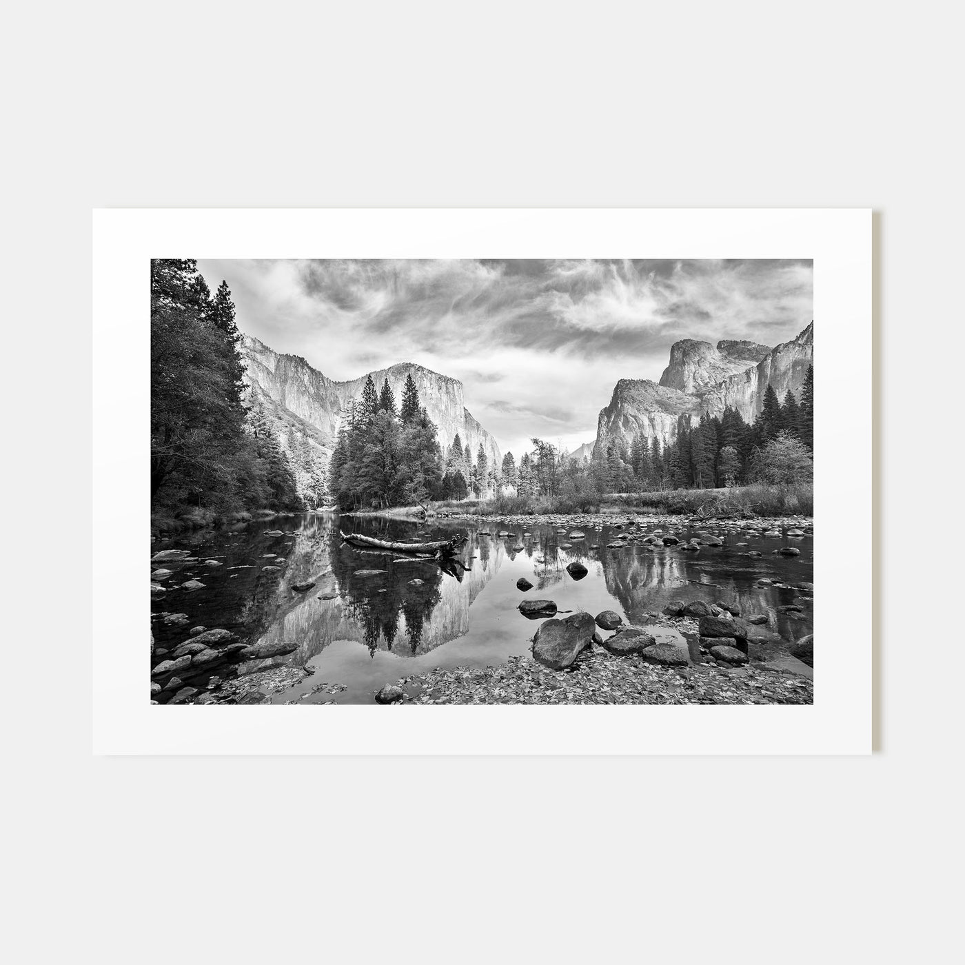 Redwood National Park Landscape B&W Poster