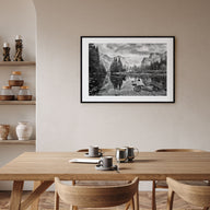 Redwood National Park Landscape B&W Poster