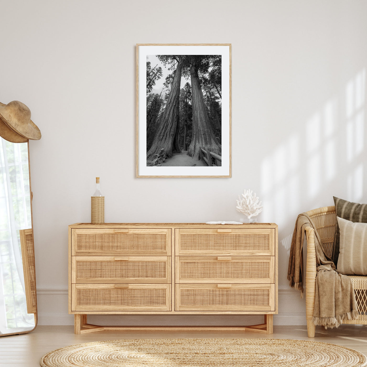 Redwood National Park Photo B&W Poster