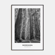 Redwoods Portrait B&W Poster