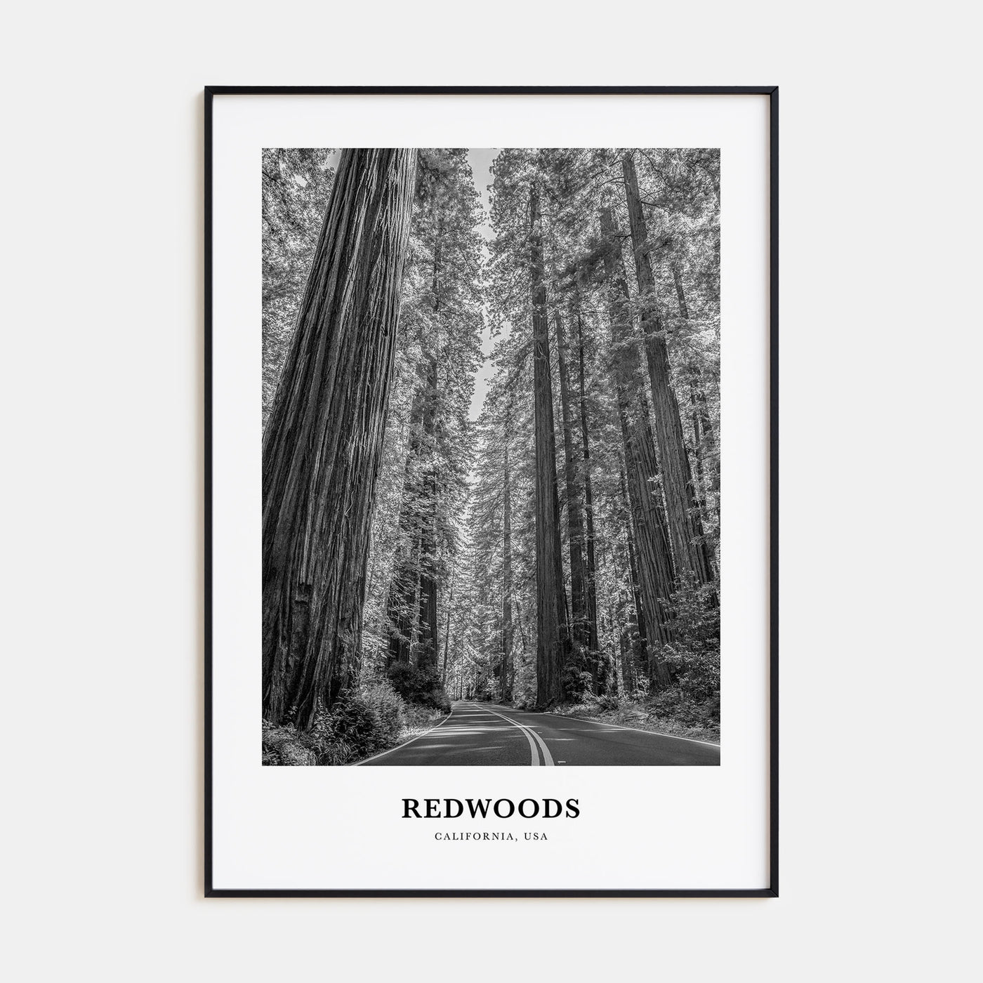 Redwoods Portrait B&W Poster