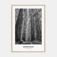 Redwoods Portrait B&W Poster