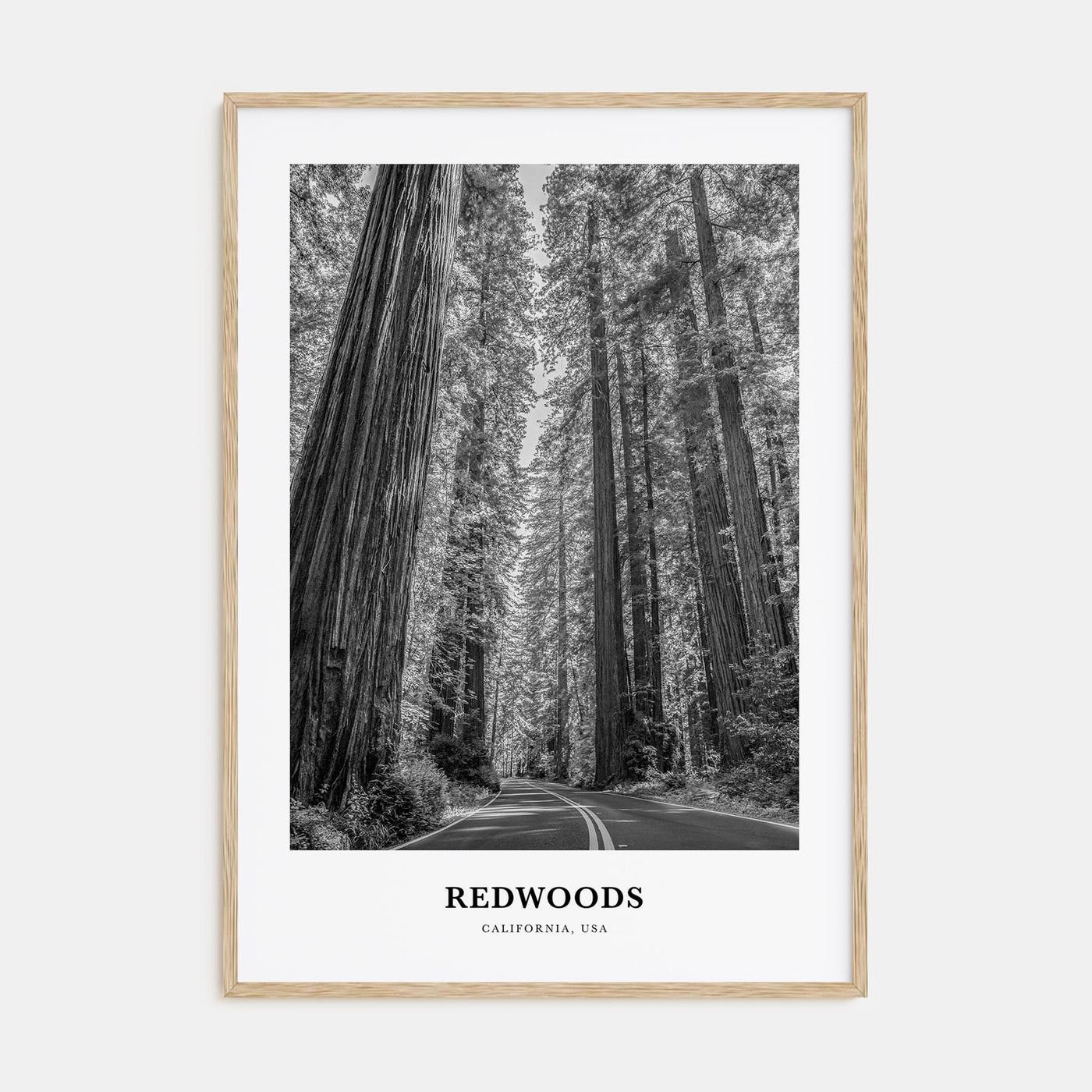 Redwoods Portrait B&W Poster