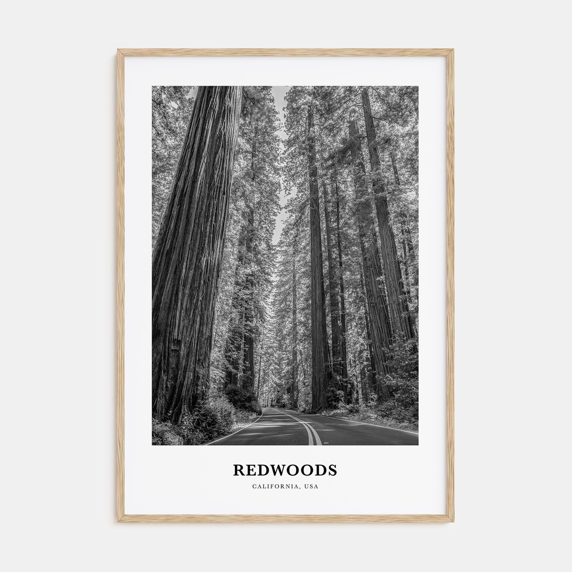 Redwoods Portrait B&W Poster