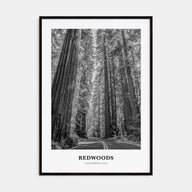 Redwoods Portrait B&W Poster