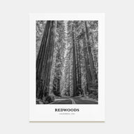 Redwoods Portrait B&W Poster