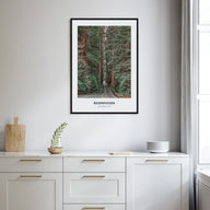 Redwoods Portrait Color Poster