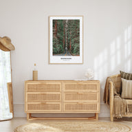 Redwoods Portrait Color Poster