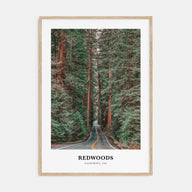 Redwoods Portrait Color Poster