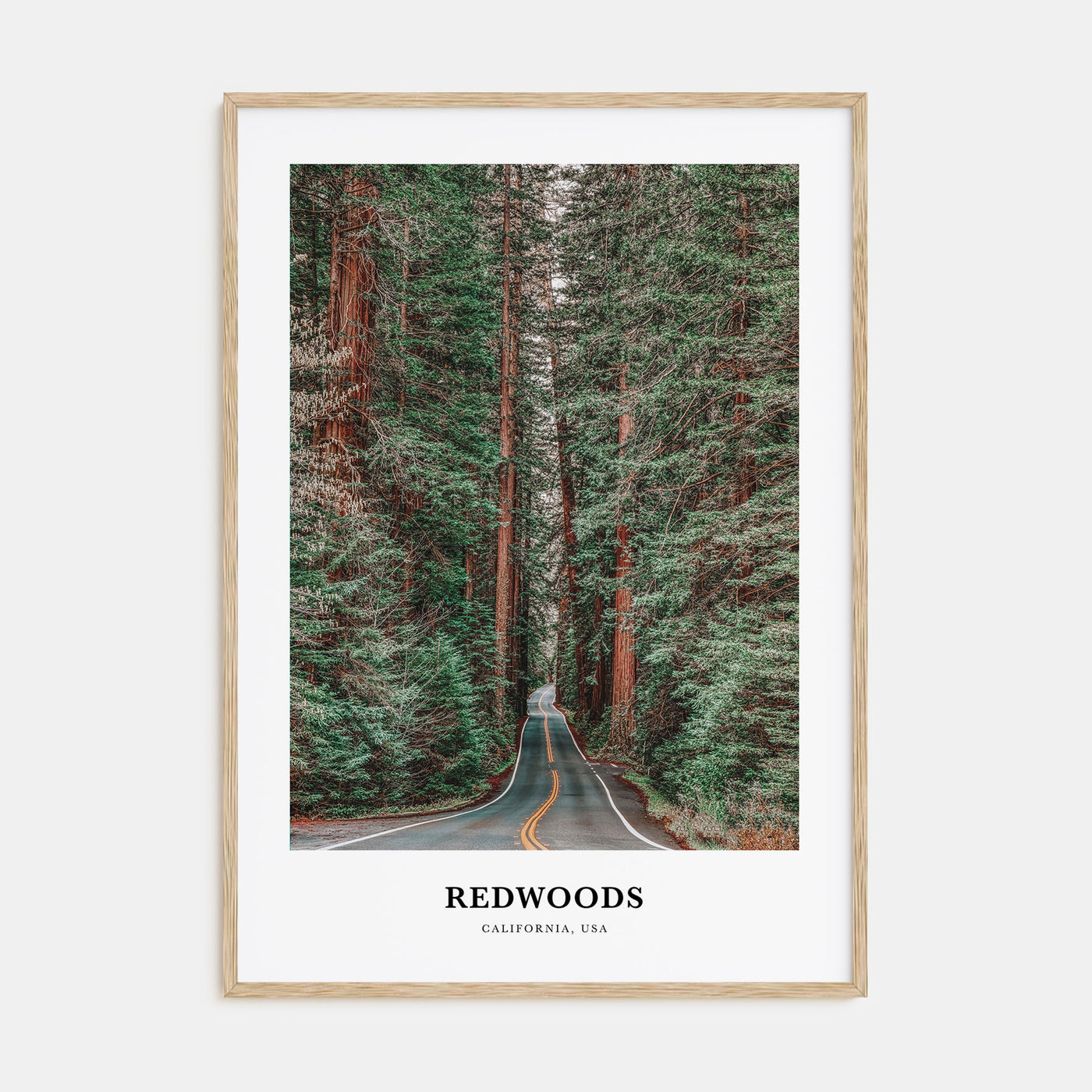 Redwoods Portrait Color Poster