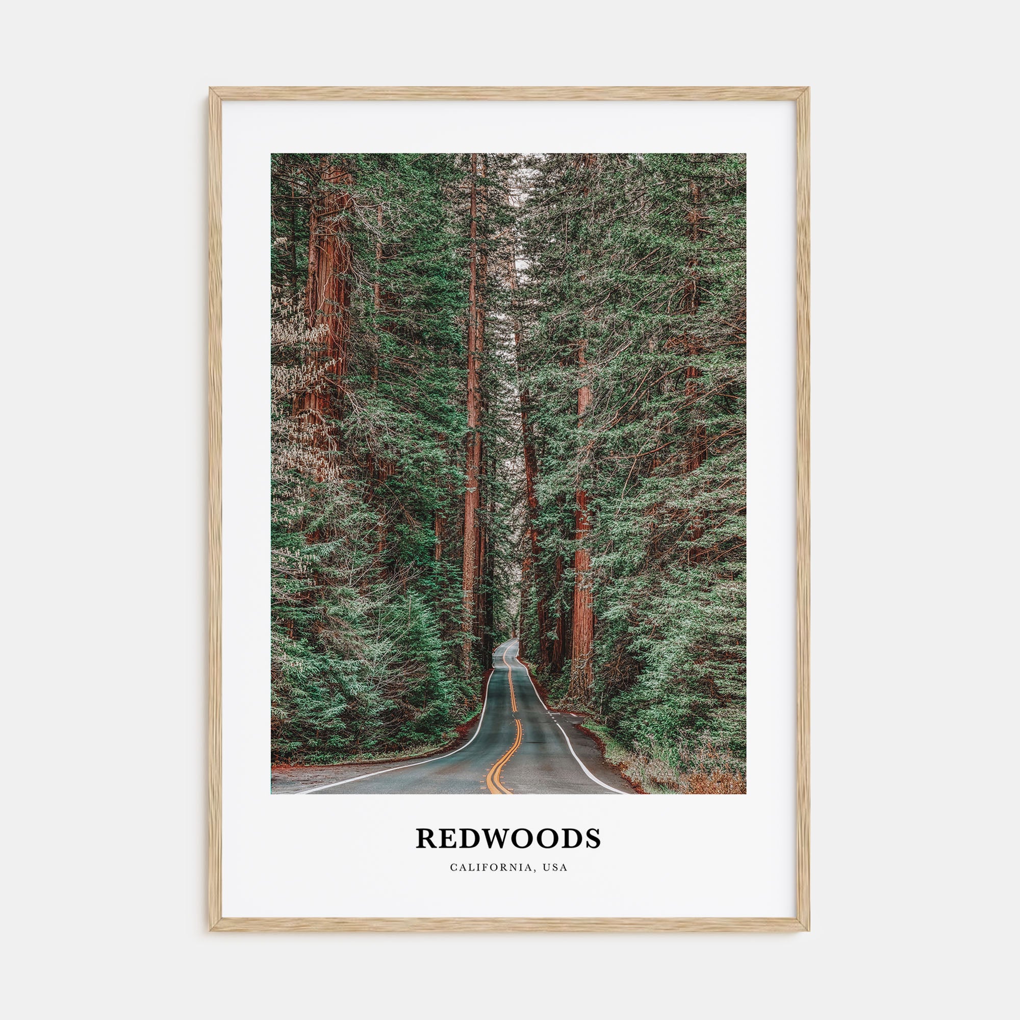 Redwoods Portrait Color Poster