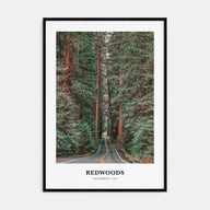 Redwoods Portrait Color Poster