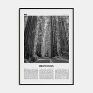 Redwoods Travel B&W Poster