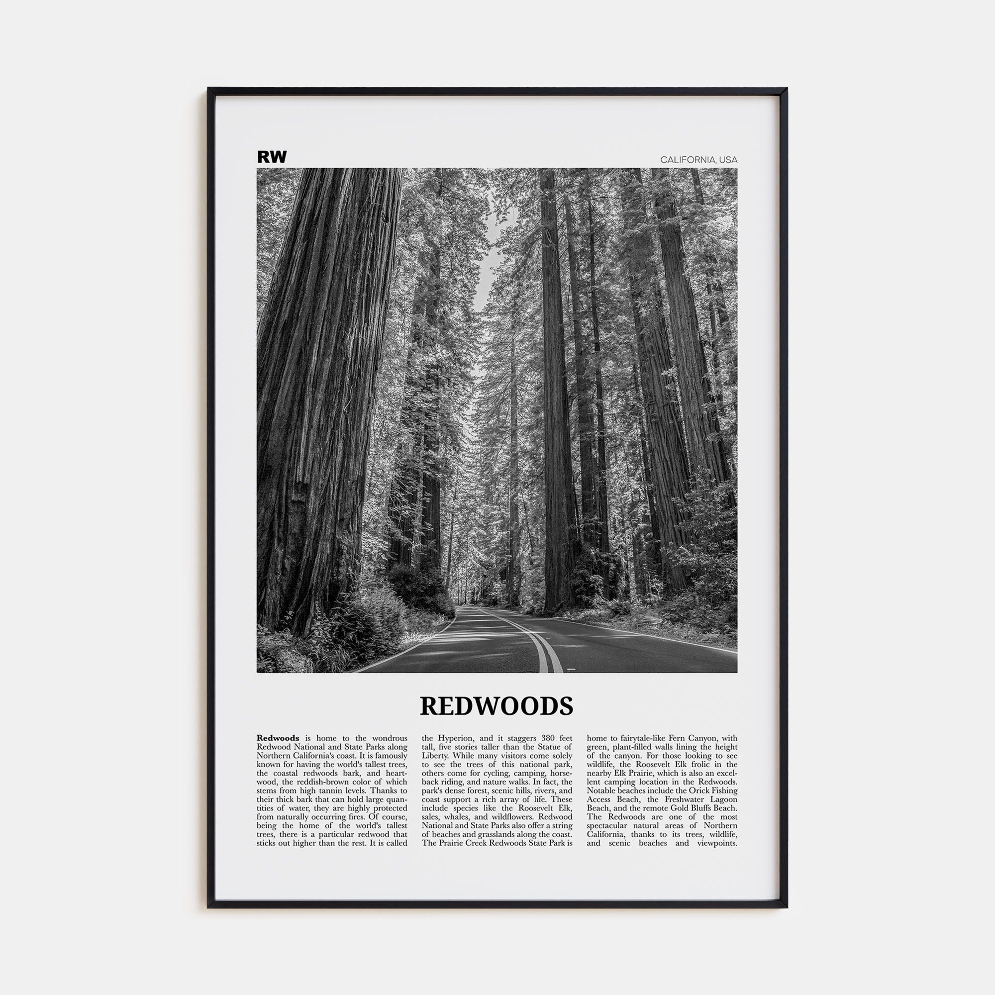 Redwoods Travel B&W Poster