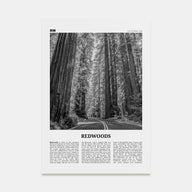 Redwoods Travel B&W Poster