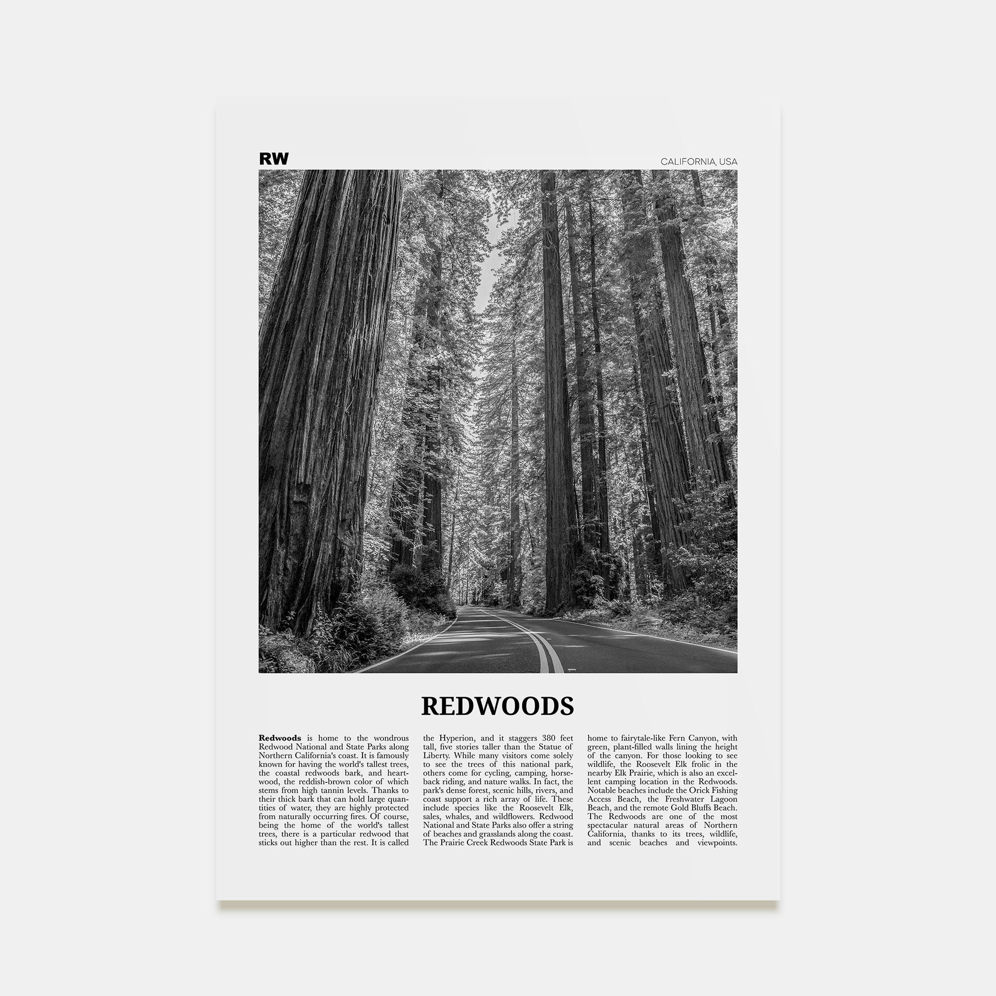 Redwoods Travel B&W Poster