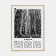 Redwoods Travel B&W Poster