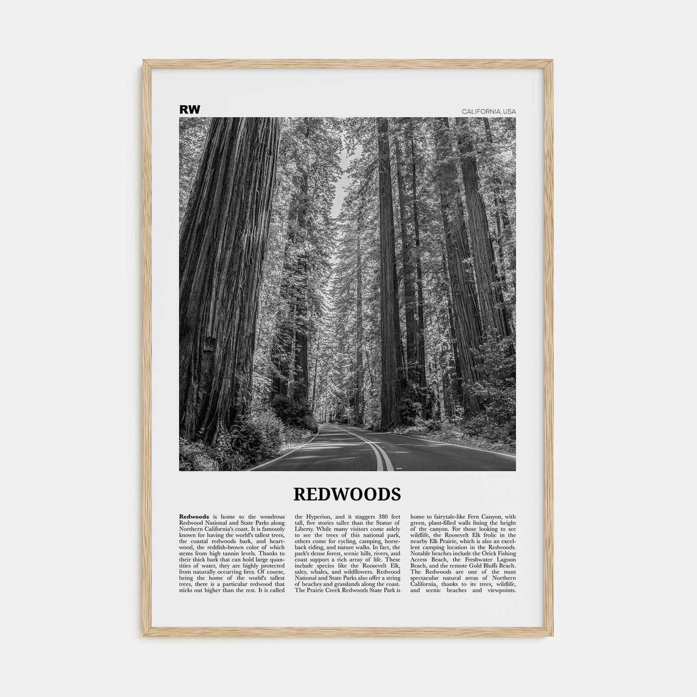 Redwoods Travel B&W Poster