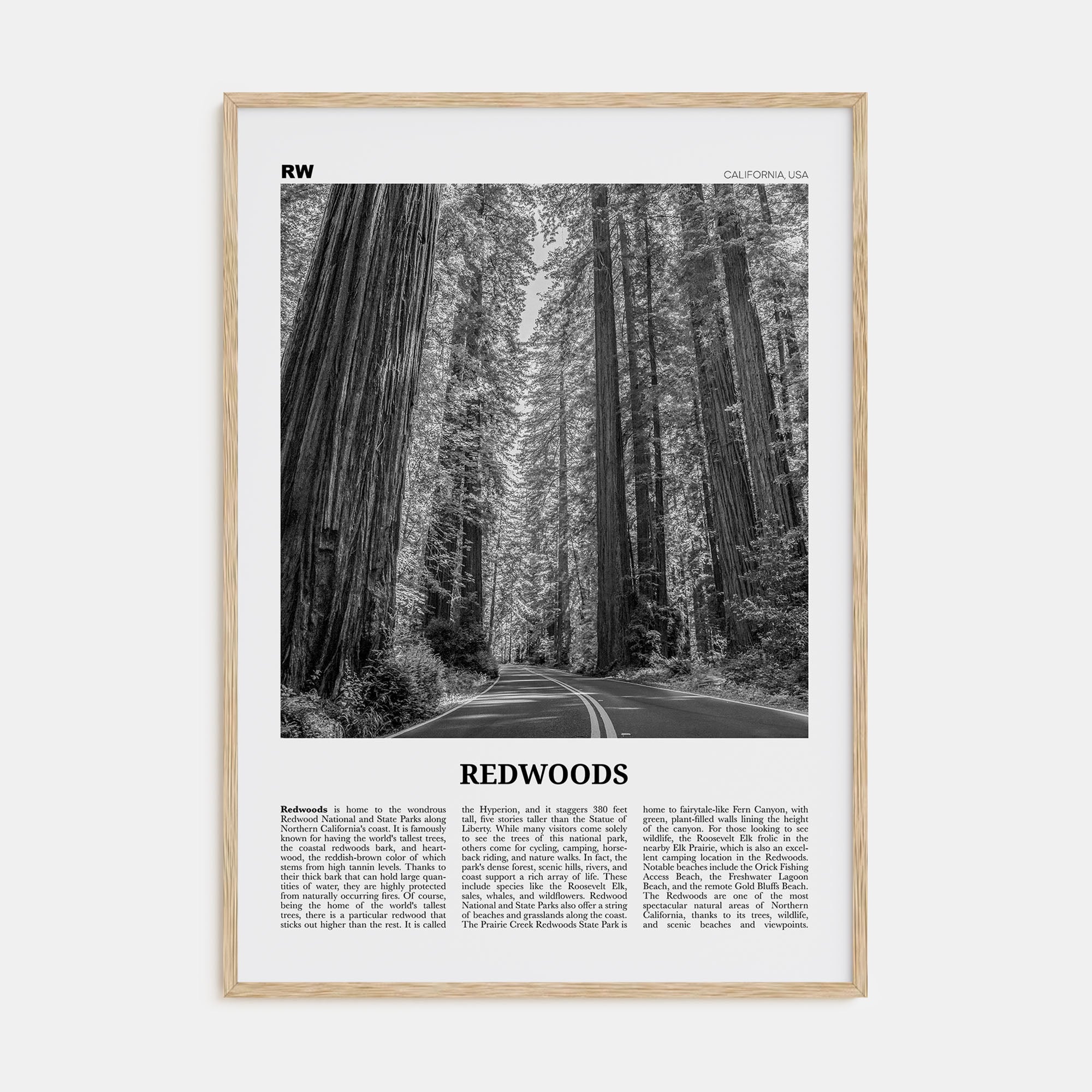 Redwoods Travel B&W Poster
