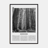 Redwoods Travel B&W Poster