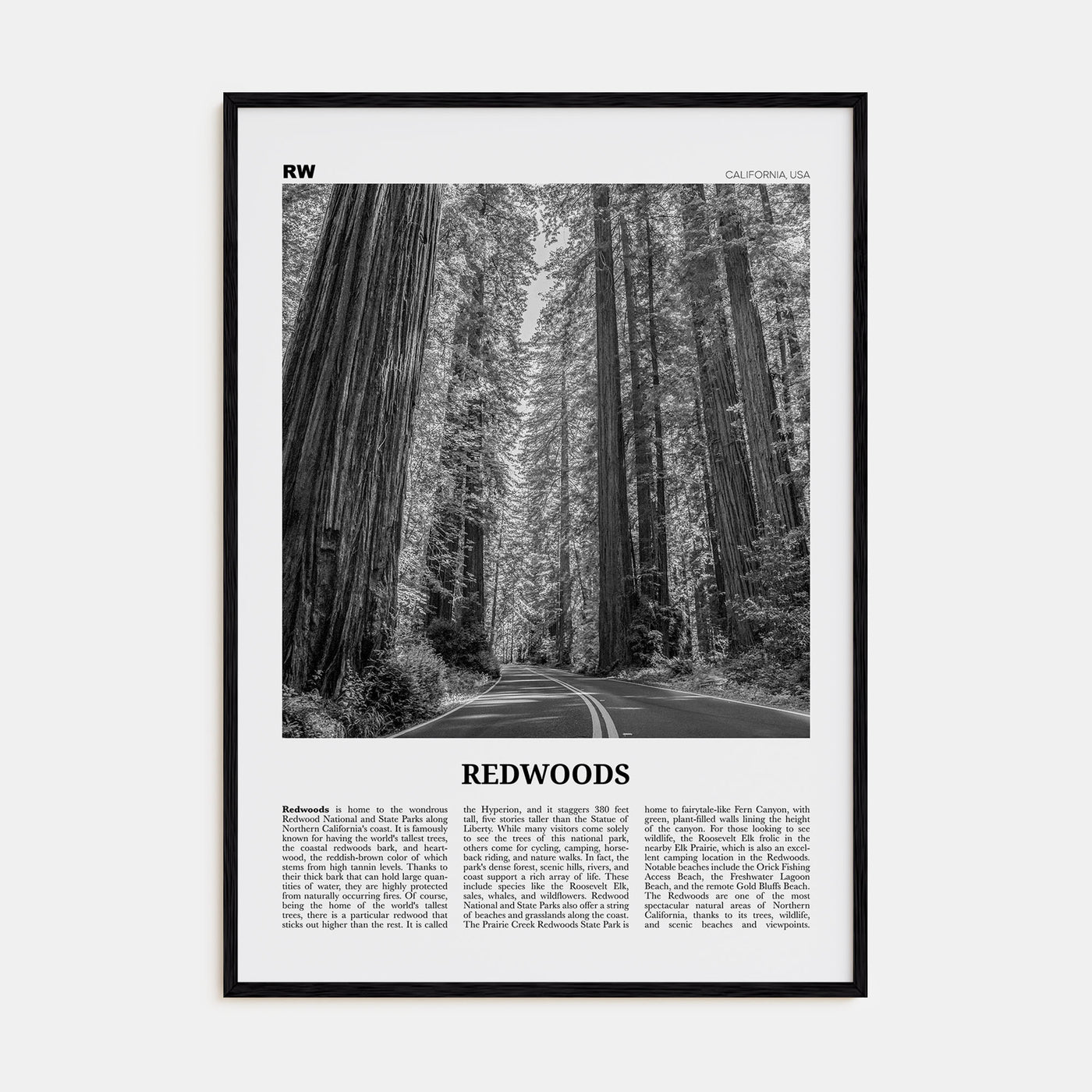 Redwoods Travel B&W Poster