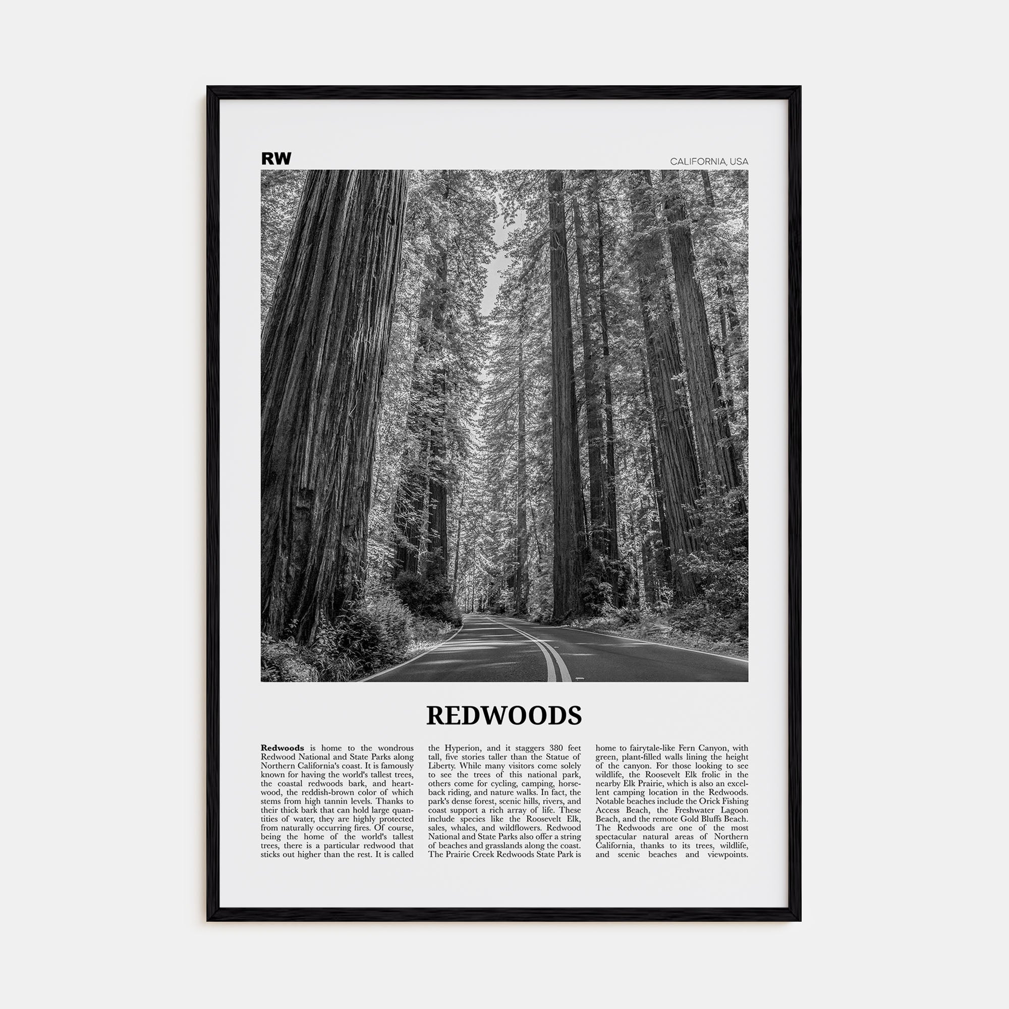 Redwoods Travel B&W Poster