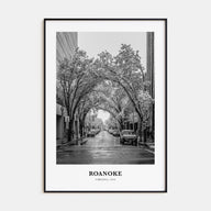 Roanoke Portrait B&W No 1 Poster