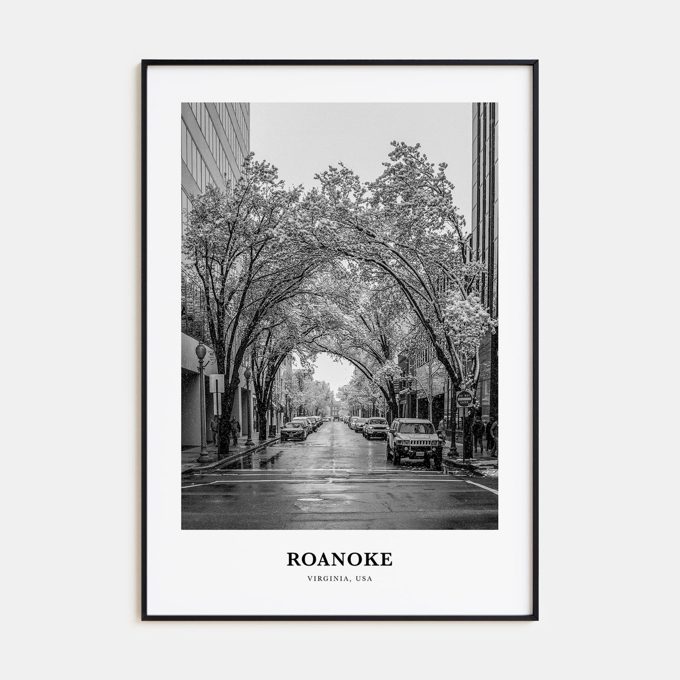 Roanoke Portrait B&W No 1 Poster