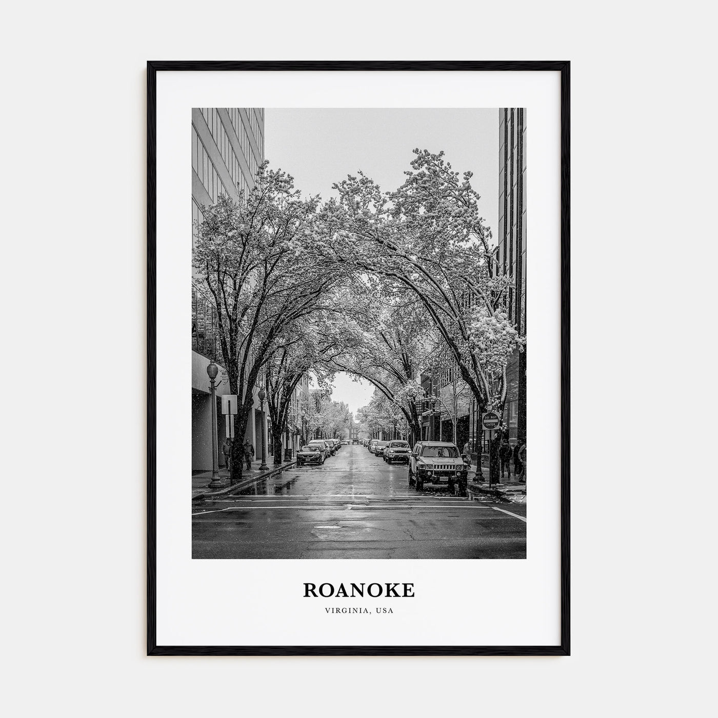 Roanoke Portrait B&W No 1 Poster